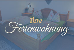 Ferienwohnung Geierstein